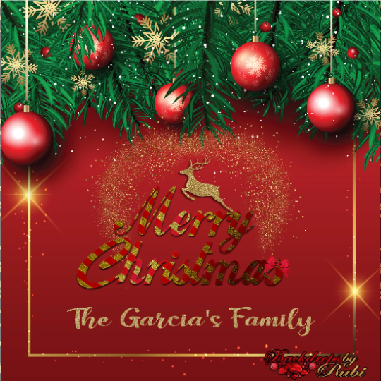 Christmas Backdrop, Christmas Banner, Christmas Photo Booth, Holiday Backdrops, Merry Christmas Backdrop, Christmas Custom Backdrop, Navidad