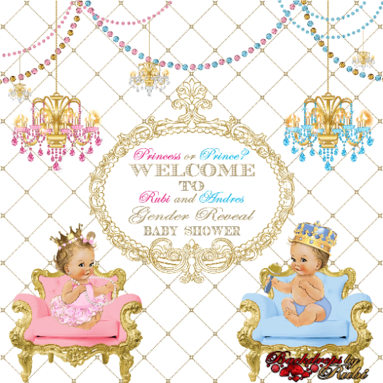 Gender Reveal Backdrop, Gender Reveal Banner Gender Reveal Party Backdrop, Gender Reveal, Boy Or Girl, Gender Reveal Prince or Princess