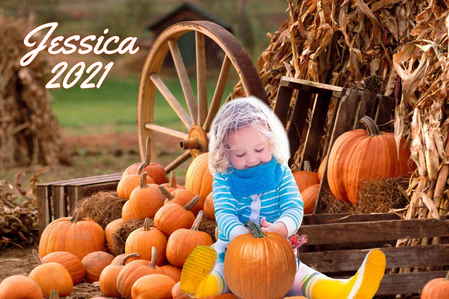 Pumpkin Backdrop, Autumn Fall Backdrop, Fall Banner, Fall Birthday Backdrop, Little Pumpkin Backdrop, Halloween Pumpkin Patch Fall