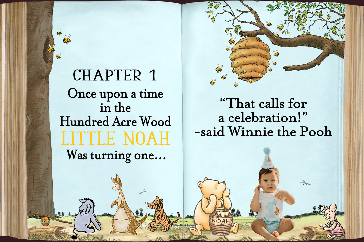 Winnie the Pooh Birthday, Winnie the Pooh Nursery/Baby Shower, Winnie the Pooh Backdrop, Winnie the Pooh Story Book, Winnie the Pooh Classic
