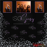 Logo Step and Repeat Business Event Backdrop, Custom Logo Backdrop, Business Logo Backdrop, Business Logo Step And Repeat, Custom Backdrops