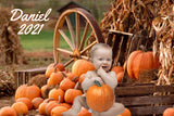 Pumpkin Backdrop, Autumn Fall Backdrop, Fall Banner, Fall Birthday Backdrop, Little Pumpkin Backdrop, Halloween Pumpkin Patch Fall